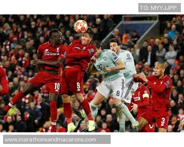 赛后复盘:上海排球队与深圳排球队的战术意识与团队协作分析