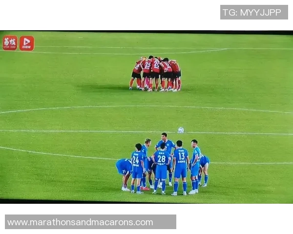 足球明星你问我猜挑战赛揭晓谁是球场之王的秘密与魅力