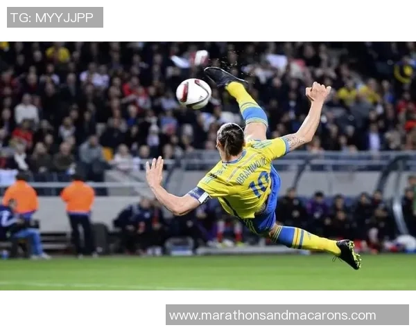 身体强壮的足球明星盘点他们的运动成就与健康秘诀