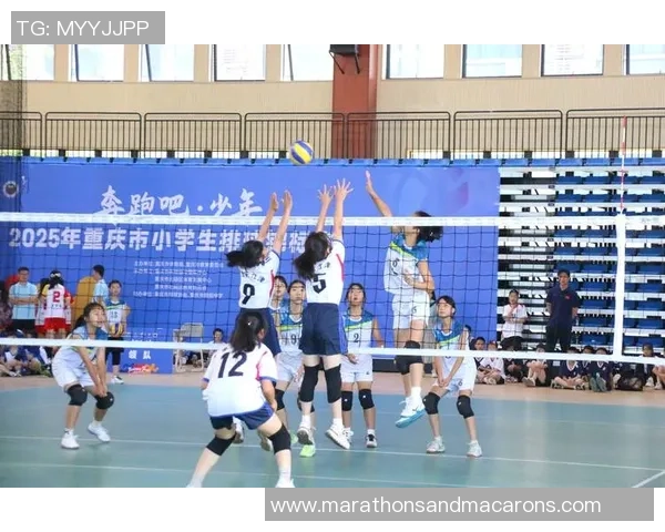 重庆排球队的奋斗历程与荣耀时刻全景纪实